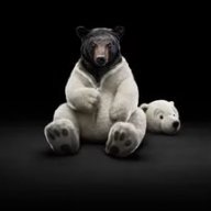 Артём Александрович