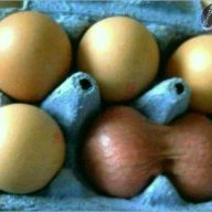 Владимир_кабан